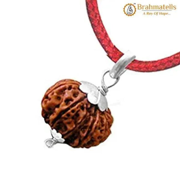 9 Mukhi Rudraksha Pendant - Harness Navdurga's Strength | Brahmatells by Brahmatells