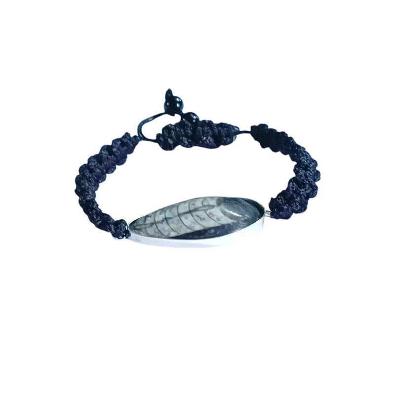 Orthoceras Fossil Band Bracelet – Brahmatells by Brahmatells