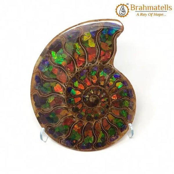 Ammolite by Brahmatells