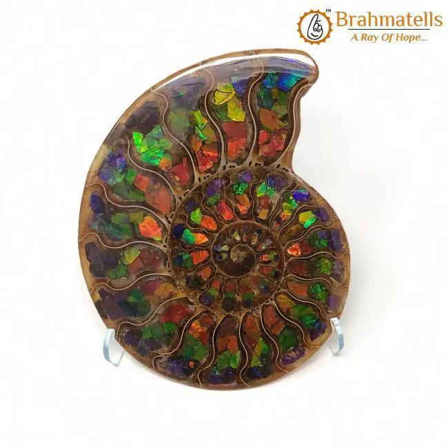 Ammolite by Brahmatells
