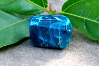 Apatite Tumble Stone - Knowledge & Truth Enhancer by Brahmatells
