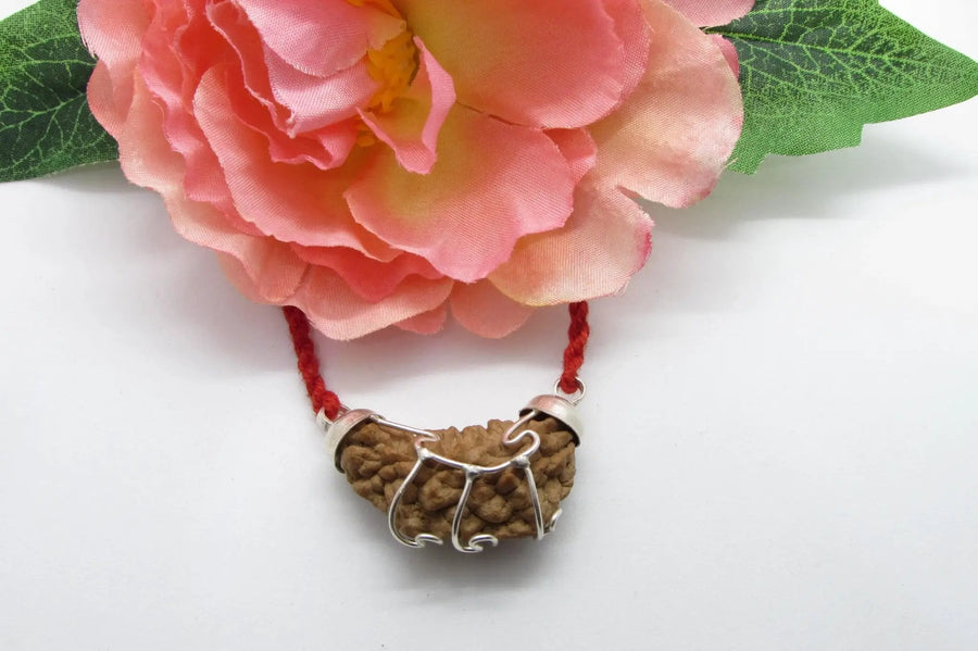 Aquarius One Mukhi Rudraksha Pendant in Silver | Brahmatells by Brahmatells