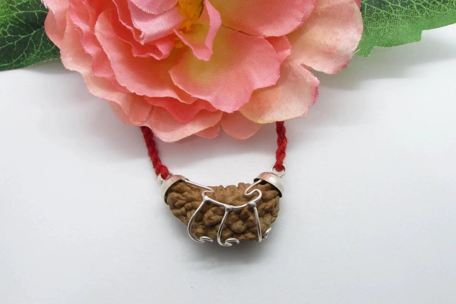 Aquarius One Mukhi Rudraksha Pendant in Silver | Brahmatells by Brahmatells