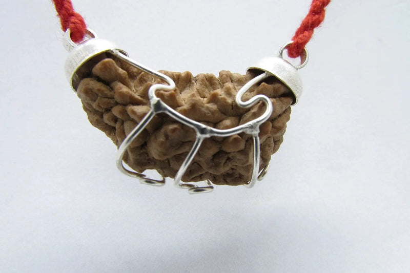 Aquarius One Mukhi Rudraksha Pendant in Silver | Brahmatells by Brahmatells