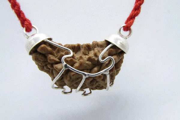 Aquarius One Mukhi Rudraksha Pendant in Silver | Brahmatells by Brahmatells
