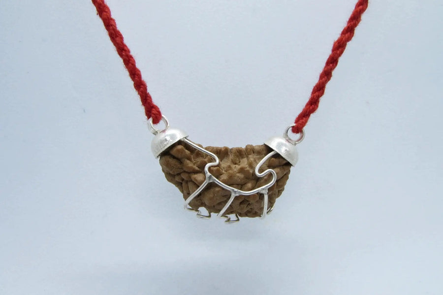 Aquarius One Mukhi Rudraksha Pendant in Silver | Brahmatells by Brahmatells