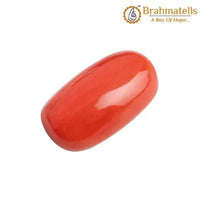 Authentic Italian Red Coral Gemstone - Empower Your Mars | Brahmatells by Brahmatells