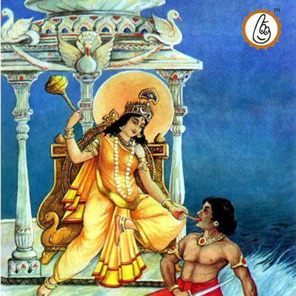 Baglamukhi Puja and Yagna by Brahmatells