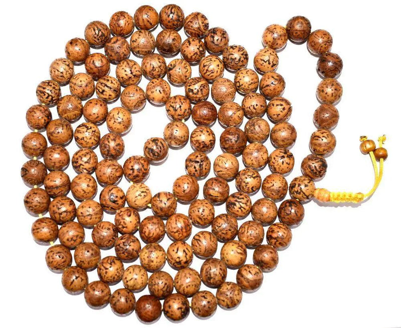 Bodhi Seed Mala for Meditation - Authentic Beads | Brahmatells by Brahmatells
