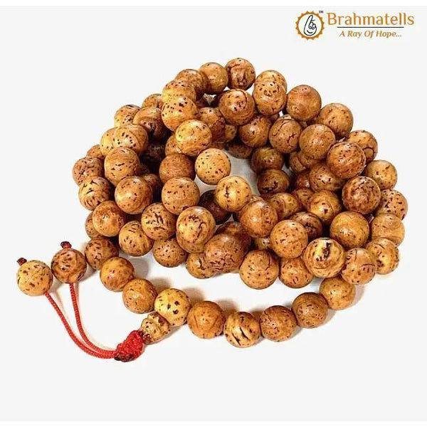 Bodhi Seed Mala for Meditation - Authentic Beads | Brahmatells by Brahmatells