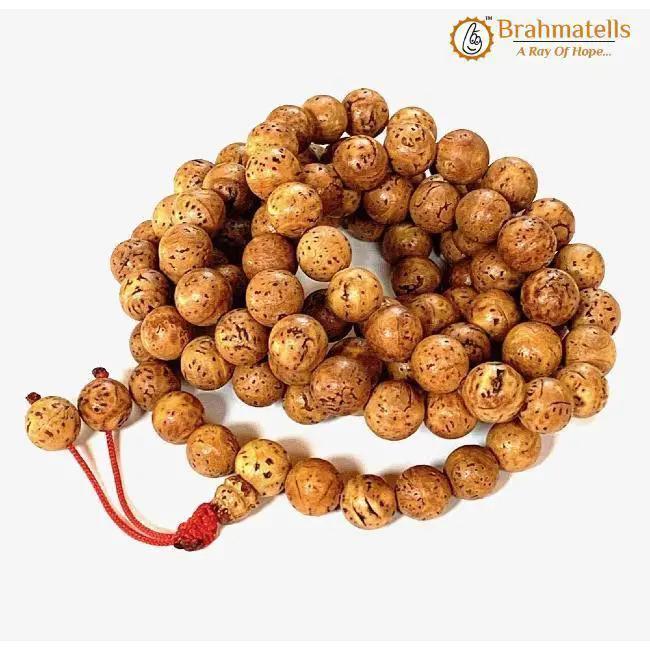 Bodhi Seed Mala for Meditation - Authentic Beads | Brahmatells by Brahmatells