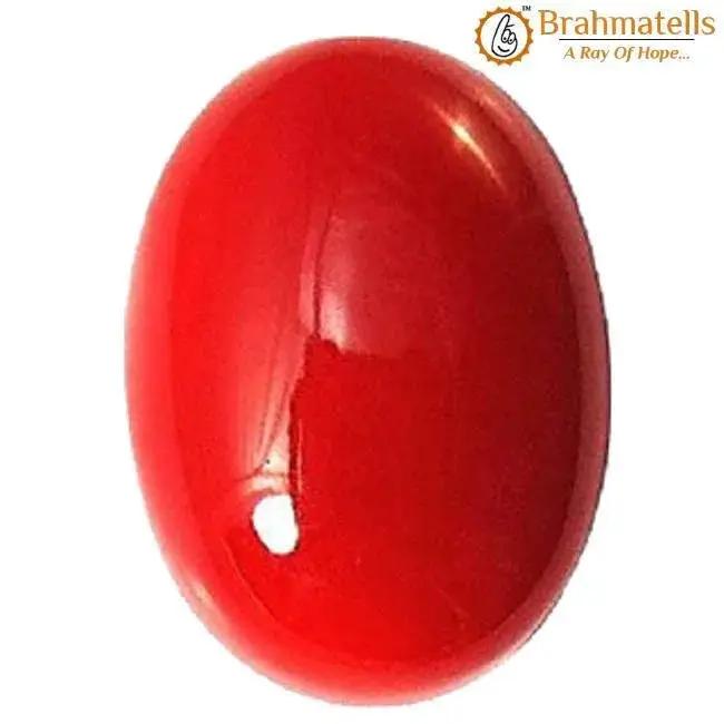 Brahmatells Egyptian Red Coral: Empower Your Mars with Moonga Stone by Brahmatells