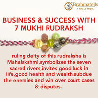 Business & Success With 7 Mukhi Rudraksha by Brahmatells