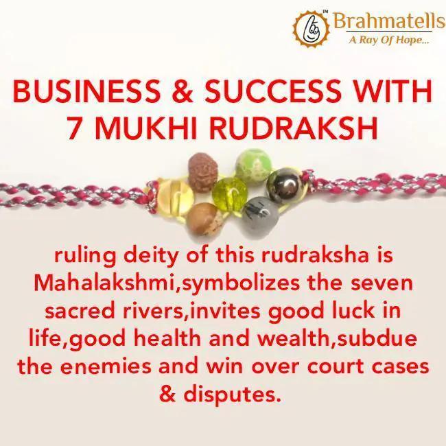 Business & Success With 7 Mukhi Rudraksha by Brahmatells