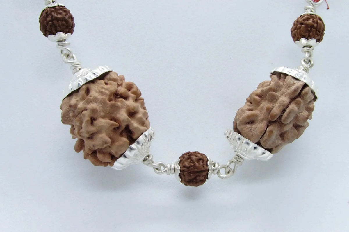 Cancer Zodiac Rudraksha Pendant – 2 Mukhi Indian Beads | Brahmatells by Brahmatells