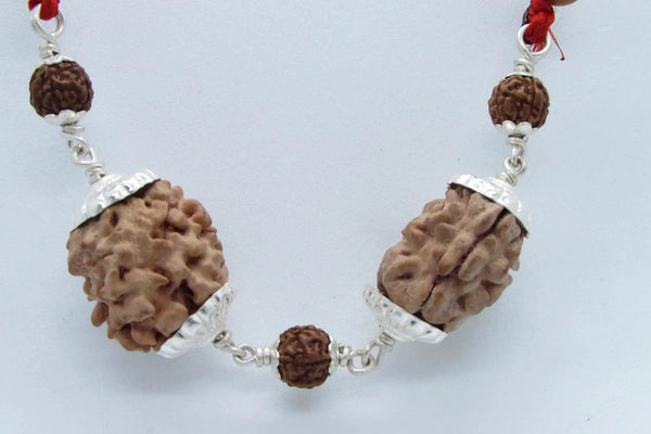 Cancer Zodiac Rudraksha Pendant – 2 Mukhi Indian Beads | Brahmatells by Brahmatells