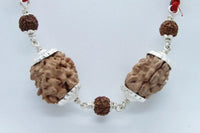 Cancer Zodiac Rudraksha Pendant – 2 Mukhi Indian Beads | Brahmatells by Brahmatells