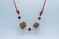 Cancer Zodiac Rudraksha Pendant – 2 Mukhi Indian Beads | Brahmatells by Brahmatells