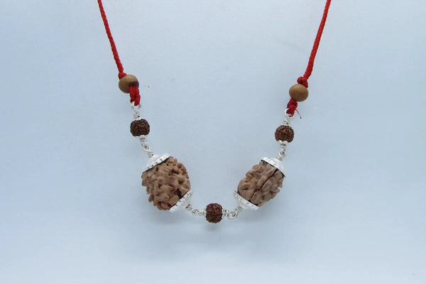 Cancer Zodiac Rudraksha Pendant – 2 Mukhi Indian Beads | Brahmatells by Brahmatells