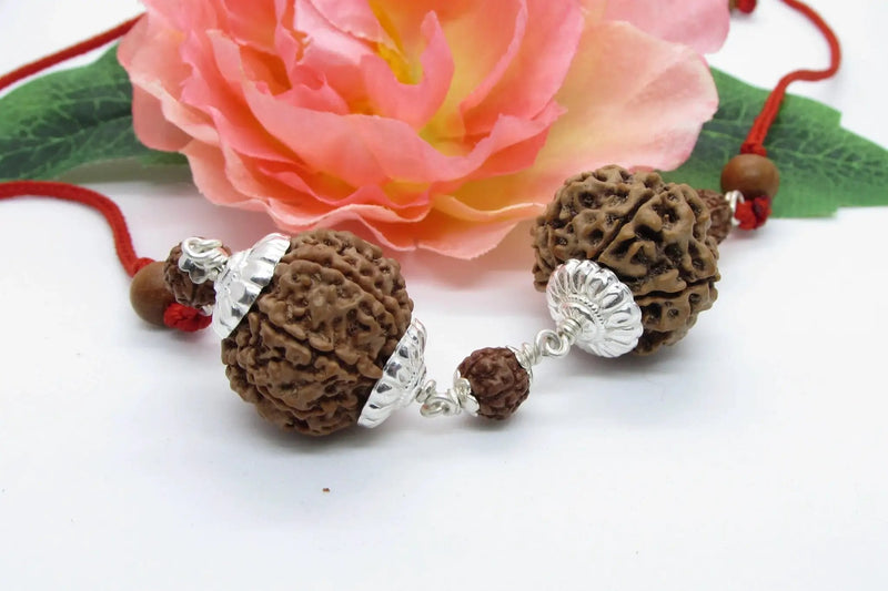 Capricorn Rudraksha Pair – 7 Mukhi Nepal Beads with Silver by Brahmatells