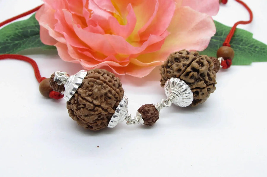 Capricorn Rudraksha Pair – 7 Mukhi Nepal Beads with Silver by Brahmatells