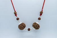 Capricorn Rudraksha Pair – 7 Mukhi Nepal Beads with Silver by Brahmatells