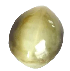 Cats Eye beige BTCE103GSM - BrahmatellsStore