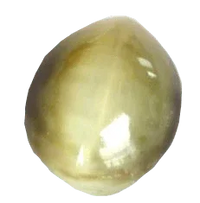 Cats Eye beige BTCE103GSM - BrahmatellsStore