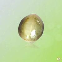 Cats Eye beige BTCE103GSM by Brahmatells