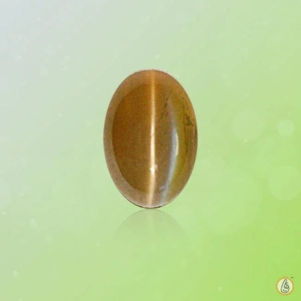 Cats Eye coffee BTCE108GSM - BrahmatellsStore