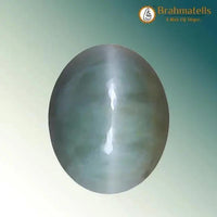 Cats Eye (Lehsunia) by Brahmatells
