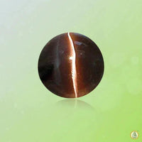 Cats Eye mocha-brown BTCE114GSM by Brahmatells
