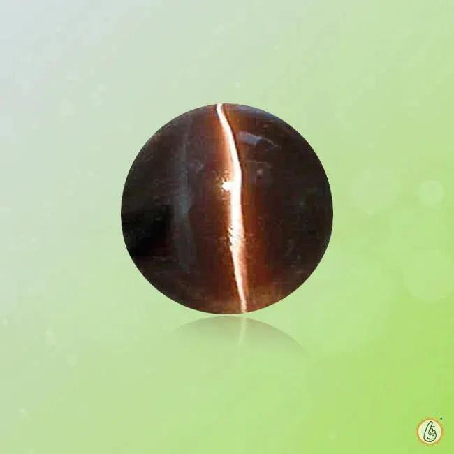 Cats Eye mocha-brown BTCE114GSM by Brahmatells