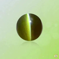 Cats Eye pickle-pine BTCE109GSM by Brahmatells