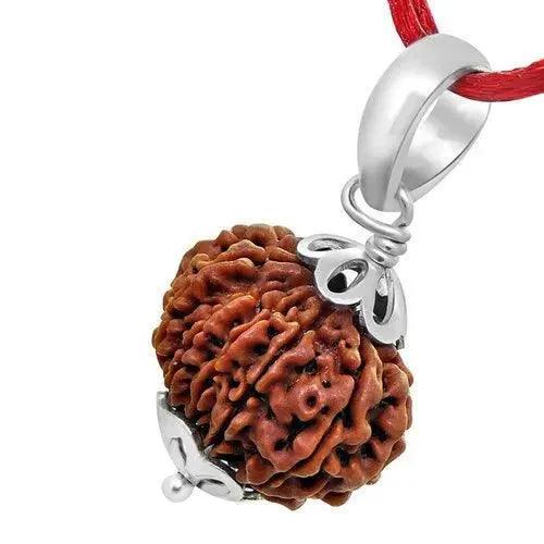 Collector 12 Mukhi Rudraksha Pendant - Leadership & Radiance | Brahmatells by Brahmatells