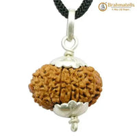 Collector 12 Mukhi Rudraksha Pendant - Leadership & Radiance | Brahmatells by Brahmatells