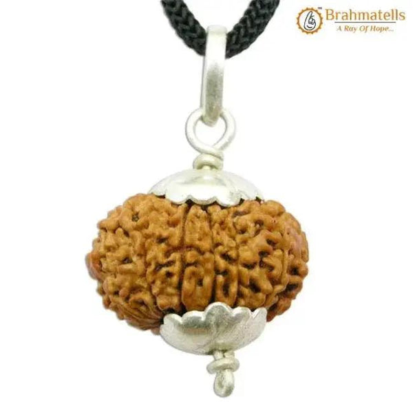 Collector 12 Mukhi Rudraksha Pendant - Leadership & Radiance | Brahmatells by Brahmatells