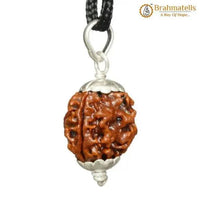 Collector 3 Mukhi Rudraksha Pendant - Fire Energy & Purification | Brahmatells by Brahmatells