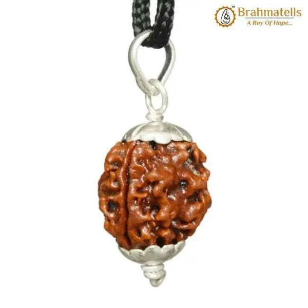 Collector 3 Mukhi Rudraksha Pendant - Fire Energy & Purification | Brahmatells by Brahmatells