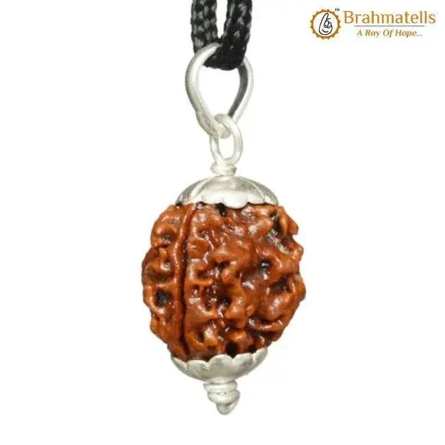 Collector 3 Mukhi Rudraksha Pendant - Fire Energy & Purification | Brahmatells by Brahmatells