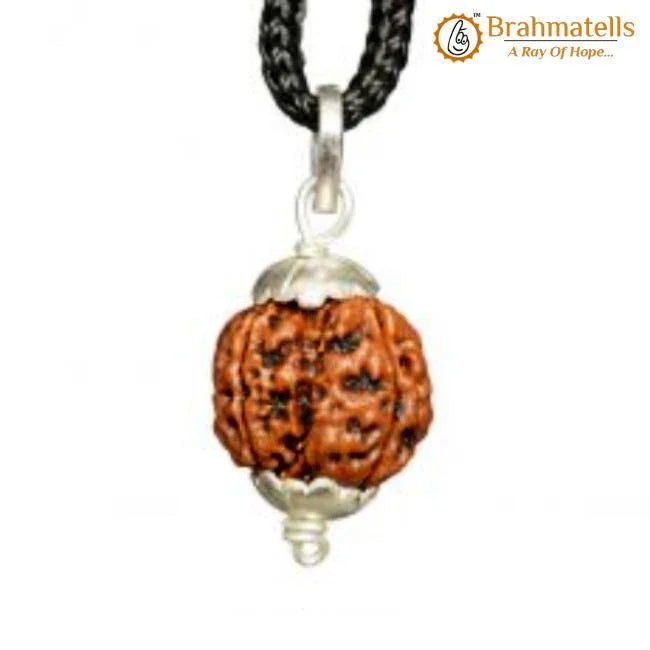 Collector 4 Mukhi Rudraksha Pendant - Unleash Brahma's Wisdom | Brahmatells by Brahmatells