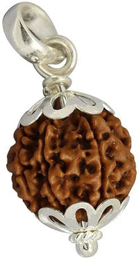 Collector 5 Mukhi Rudraksha Pendant: Spiritual Depth | Brahmatells by Brahmatells