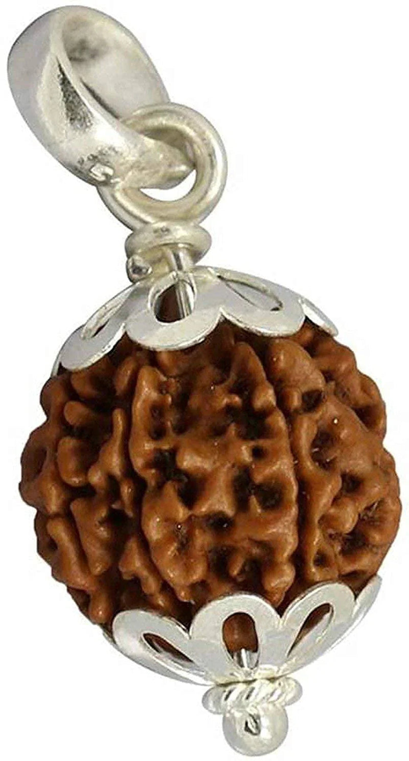 Collector 5 Mukhi Rudraksha Pendant: Spiritual Depth | Brahmatells by Brahmatells