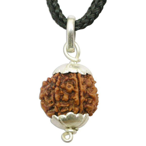 Collector 6 Mukhi Rudraksha Pendant - Wisdom & Eloquence | Brahmatells by Brahmatells