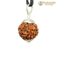 Collector 6 Mukhi Rudraksha Pendant - Wisdom & Eloquence | Brahmatells by Brahmatells