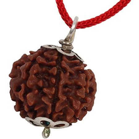 Collector 7 Mukhi Rudraksha Pendant - Prosperity & Health Blessings | Brahmatells by Brahmatells