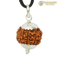 Collector 7 Mukhi Rudraksha Pendant - Prosperity & Health Blessings | Brahmatells by Brahmatells