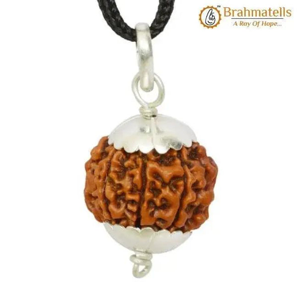 Collector 7 Mukhi Rudraksha Pendant - Prosperity & Health Blessings | Brahmatells by Brahmatells