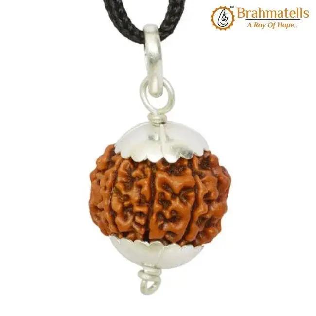 Collector 7 Mukhi Rudraksha Pendant - Prosperity & Health Blessings | Brahmatells by Brahmatells