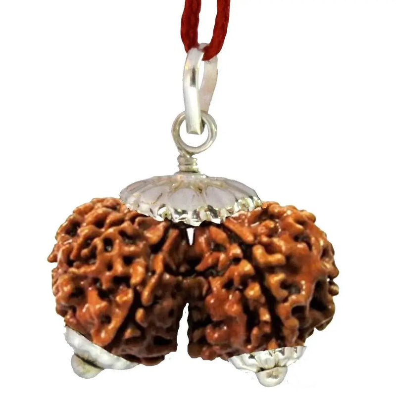 Collector Gauri Shankar Rudraksha Pendant - Divine Harmony & Unity | Brahmatells by Brahmatells